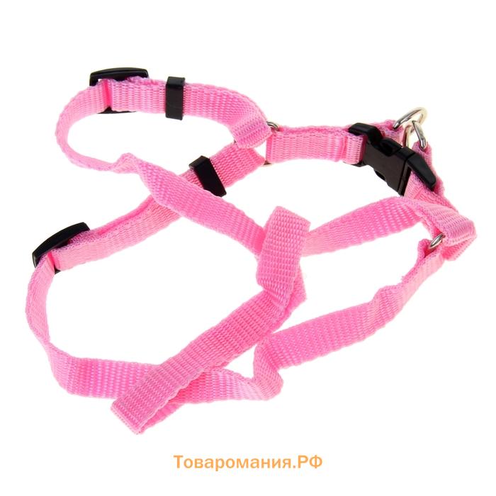Комплект "Базис", поводок 120 х 1,5 см, шлейка 32-46 х 1,5 см, розовый