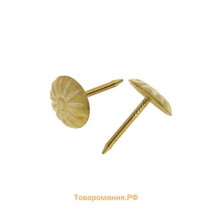 Гвозди ТУНДРА, декоративные, фактурные, 11х16 мм, золото, 100 шт