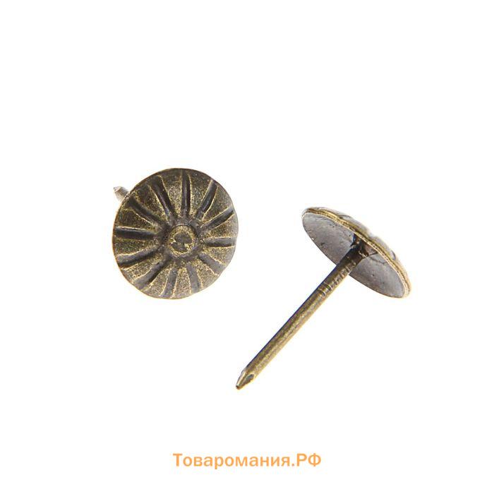 Гвозди ТУНДРА, декоративные, фактурные, 11х16 мм, бронза, 100 шт