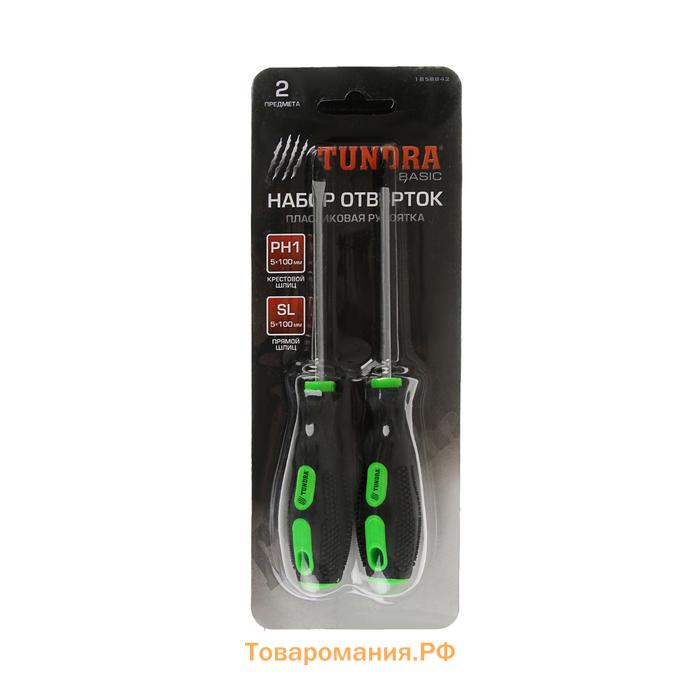 Набор отверток ТУНДРА, сатин, магнит, двухкомпонентные рукоятки, PH1 и SL5×100 мм, 2 шт.