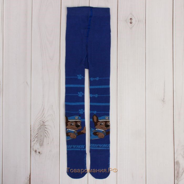 Колготки PAW PATROL «Гончик», цвет синий, 86-92 см