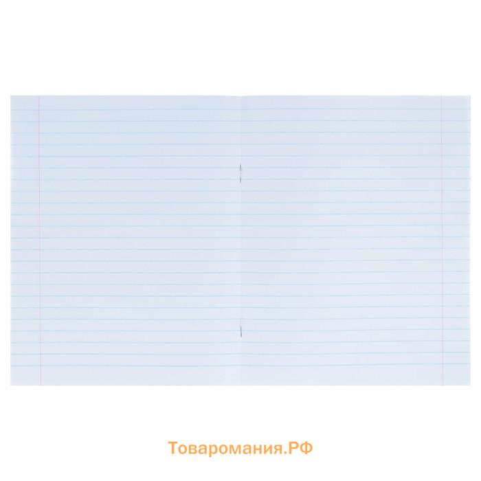 Тетрадь предметная 36 листов в линейку Calligrata, «Предметы. Литература», обложка мелованный картон