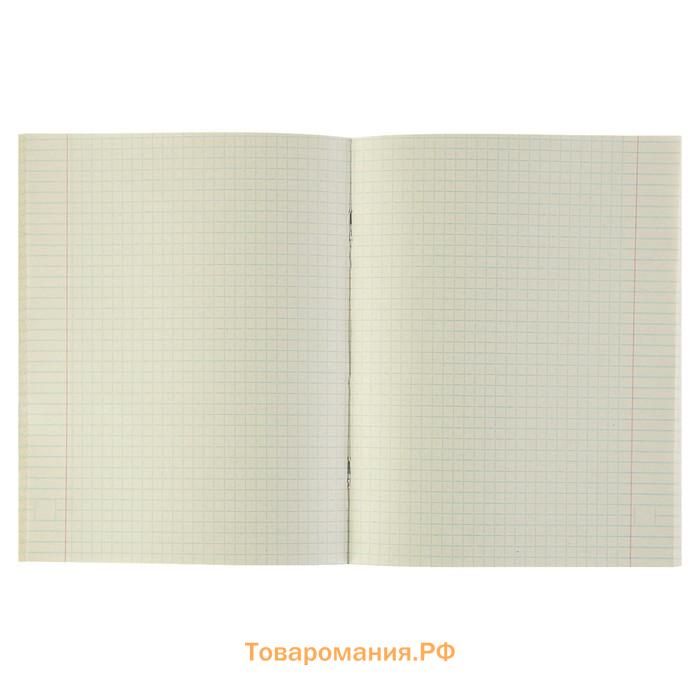 Тетрадь предметная 48 листов в клетку, Calligrata, «Чёрное-белое», по химии, серые листы