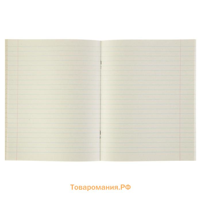 Тетрадь предметная 48 листов линейку Calligrata, «Чёрное-белое. Литература», обложка мелованная бумага, серые листы