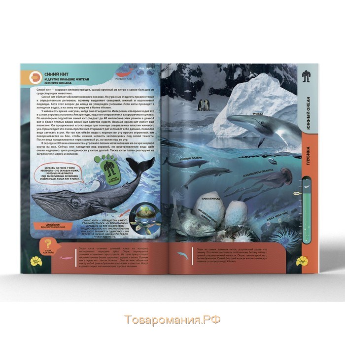 Энциклопедия 4D в дополненной реальности «Подводные жители»