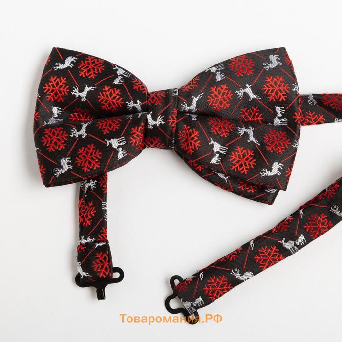 Набор мужской KAFTAN подтяжки и галстук-бабочка "Медведь"