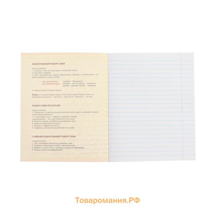 Тетрадь предметная 48 листов в клетку Calligrata, «Футбол. Русский язык», обложка мелованный картон, серые листы