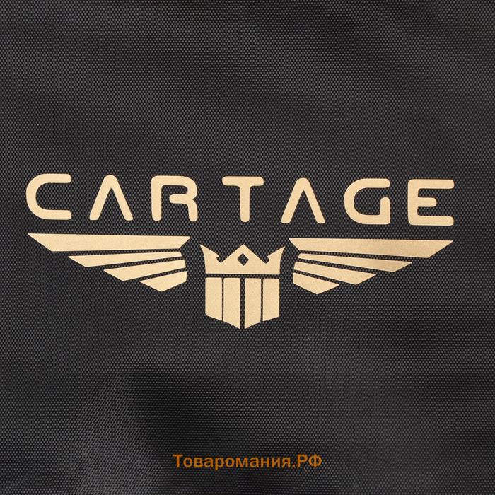 Термосумка Cartage Т-10, черная, 18 л, 35х21х24 см