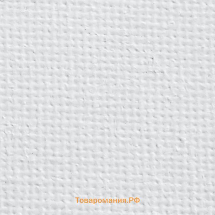Холст на картоне Calligrata, хлопок 100%, 20×30 см, 3 мм, акриловый грунт, мелкое зерно, 280 г/м²