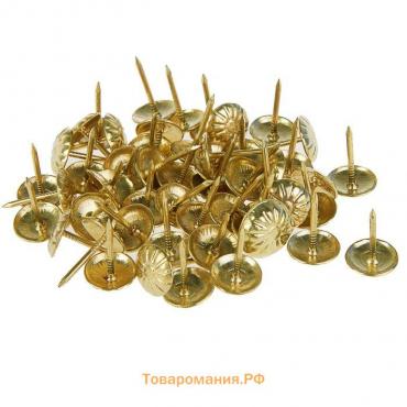 Гвозди ТУНДРА, декоративные, фактурные, 11х16 мм, золото, 100 шт