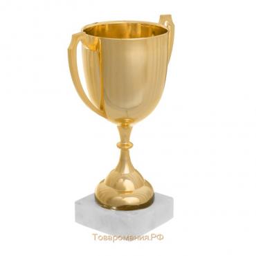 Кубок 117, наградная фигура, золото, подставка пластик, 16,3 × 11,3 × 5,6 см.