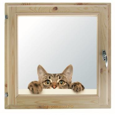 Окно, 50×60см, "Кошак", однокамерный стеклопакет