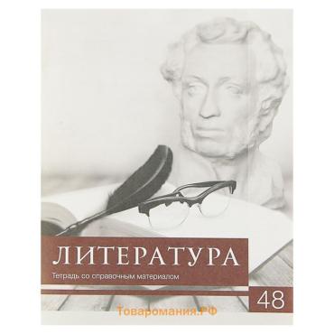Тетрадь предметная 48 листов линейку Calligrata, «Чёрное-белое. Литература», обложка мелованная бумага, серые листы
