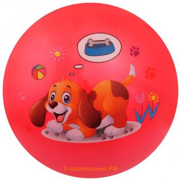 Мяч детский «Животные», d=22 см, 60 г, цвет МИКС