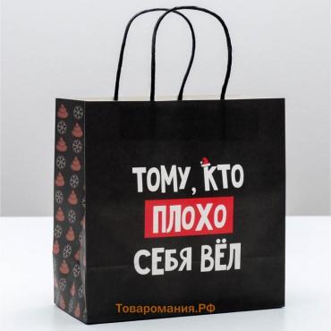 Пакет подарочный новогодний «Кто плохо себя вёл», 22 х 22 х 11 см