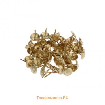 Гвозди ТУНДРА, декоративные, фактурные, 11х16 мм, золото, 50 шт