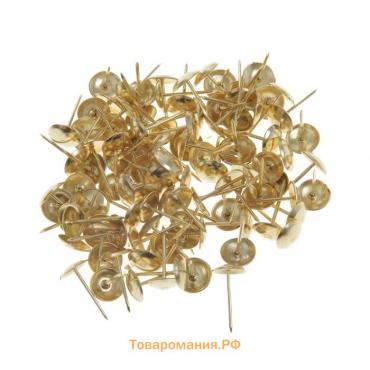 Гвозди ТУНДРА, декоративные, 10х18,5 мм, золото, 100 шт