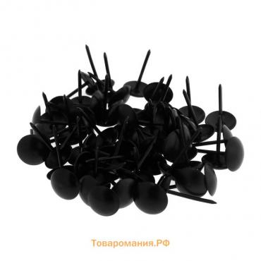 Гвозди ТУНДРА, декоративные, 11х19 мм, черные, 100 шт